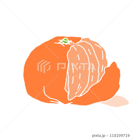 鉛筆画風のみかんの線画無しのカラーイラスト 118109719