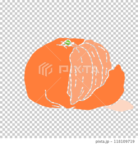 A pencil-style color illustration of a mandarin orange without line drawings 118109719
