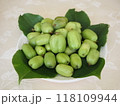 採りたてのこくわ（さるなし）の実と葉 118109944