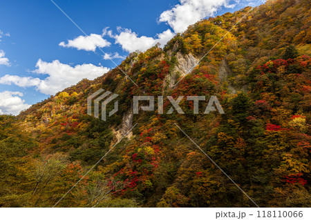 栃木県・奥日光　華厳の滝展望台から望む絶景　 118110066