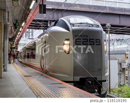 新宿駅に停車中の成田エクスプレス（N'EX）E259系電車 118110195