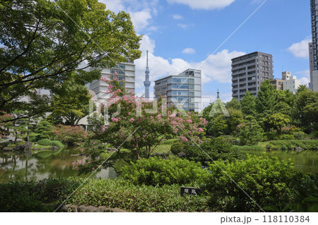 東京 墨田区立旧安田庭園 東京 墨田区立旧安田庭園 118110384