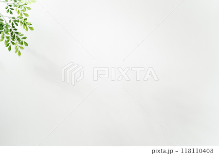 背景素材 木漏れ日 背景素材 木漏れ日 118110408