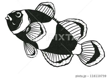 クマノミのシンプル白黒切り絵イラスト 118110739