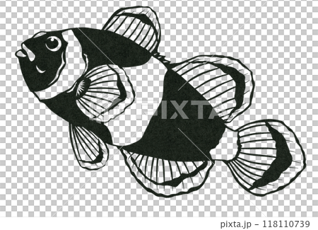 クマノミのシンプル白黒切り絵イラスト 118110739