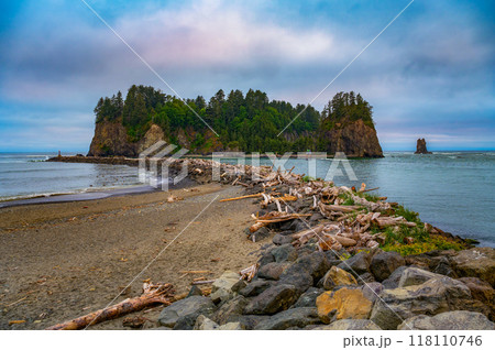 James Island viewed from La Push First Beach, Washington state 118110746