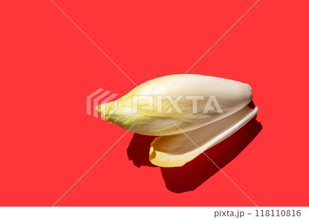 head of chicory salad, fresh endive close-up head of chicory salad, fresh endive close-up 118110816