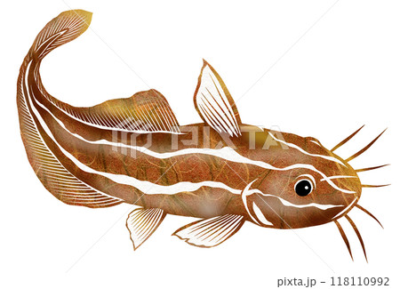 鋭い棘に毒を持つ魚ゴンズイの切り絵イラスト 鋭い棘に毒を持つ魚ゴンズイの切り絵イラスト 118110992