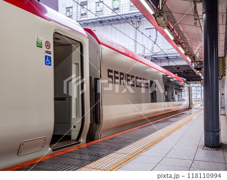 成田エクスプレス(N'EX)E259系の側面デザイン 成田エクスプレス(N'EX)E259系の側面デザイン 118110994