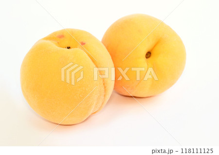 桃（黄金桃） 118111125