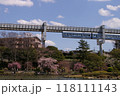 千葉公園の桜を見下ろすモノレール 118111143