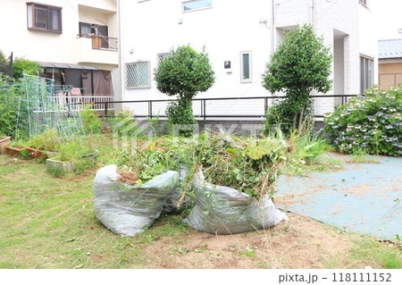 庭の草むしり　雑草と袋 118111152