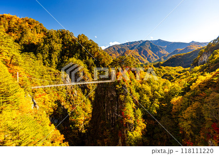 栃木県・日光市　瀬戸合峡の紅葉風景 118111220