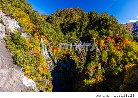 栃木県・日光市 瀬戸合峡の紅葉風景 栃木県・日光市 瀬戸合峡の紅葉風景 118111221