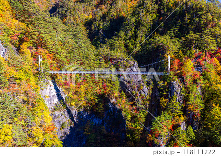 栃木県・日光市　瀬戸合峡の紅葉風景 118111222