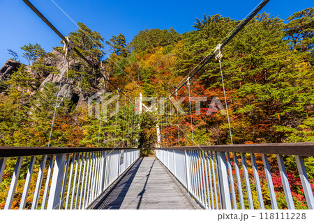 栃木県・日光市 瀬戸合峡の紅葉風景 栃木県・日光市 瀬戸合峡の紅葉風景 118111228
