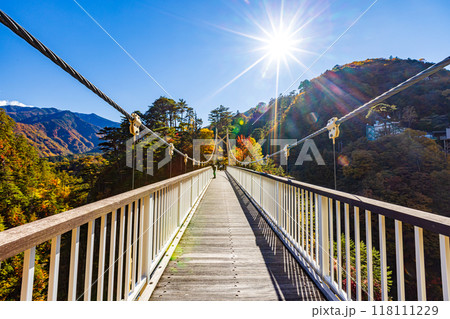 栃木県・日光市 瀬戸合峡の紅葉風景 栃木県・日光市 瀬戸合峡の紅葉風景 118111229