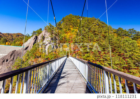 栃木県・日光市　瀬戸合峡の紅葉風景 118111231