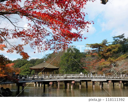 秋の奈良公園 浮見堂 秋の奈良公園 浮見堂 118111392