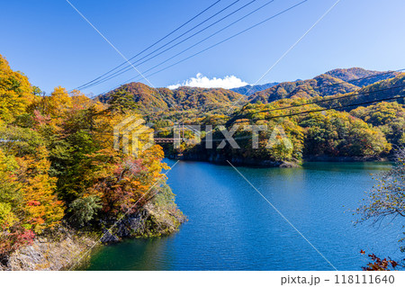 栃木県・日光市　瀬戸合峡の紅葉風景　 118111640