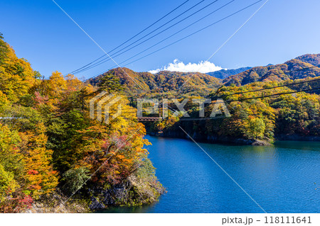 栃木県・日光市　瀬戸合峡の紅葉風景　 118111641