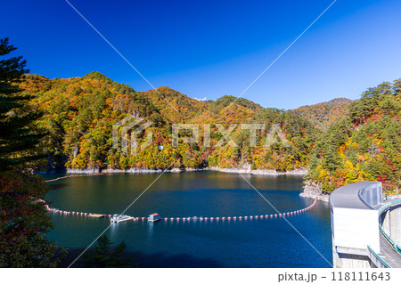 栃木県・日光市 瀬戸合峡の紅葉風景 栃木県・日光市 瀬戸合峡の紅葉風景 118111643