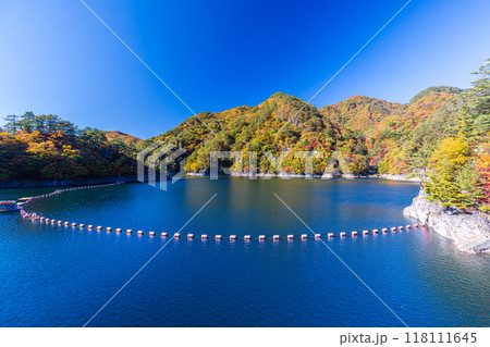 栃木県・日光市 瀬戸合峡の紅葉風景 栃木県・日光市 瀬戸合峡の紅葉風景 118111645
