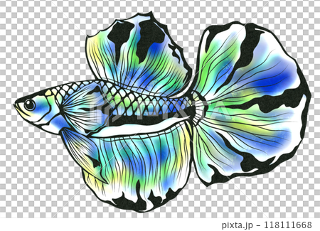 優雅に泳ぐ熱帯魚ベタの切り絵イラストのイラスト素材