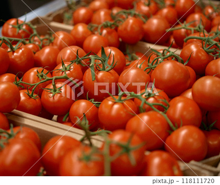 オーガニックマーケットで見つけた、新鮮で鮮やかな色のトマト 118111720