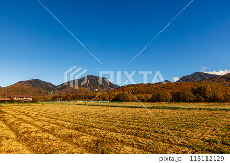 栃木県・奥日光　戦場ヶ原の紅葉風景　 118112129