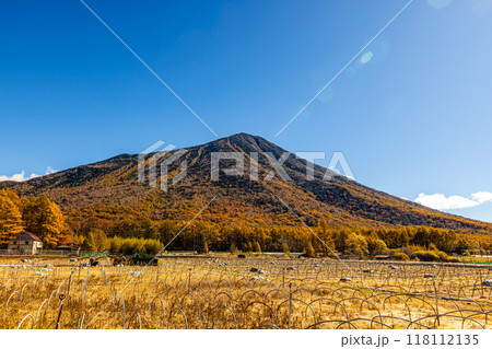 栃木県・奥日光　戦場ヶ原の紅葉風景　 118112135