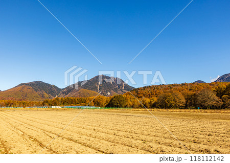 栃木県・奥日光　戦場ヶ原の紅葉風景　 118112142