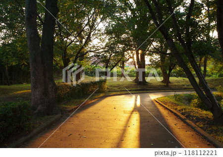 福岡粕屋町　早朝の駕与丁公園ウオーキング 118112221