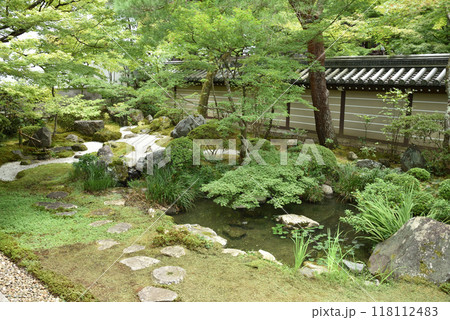 夏は青もみじの永観堂禅林寺　釈迦堂南庭 118112483