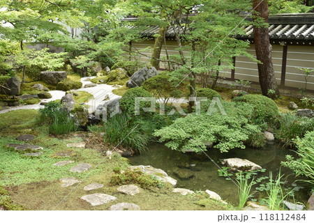 夏は青もみじの永観堂禅林寺 釈迦堂南庭 夏は青もみじの永観堂禅林寺 釈迦堂南庭 118112484