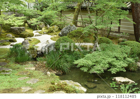 夏は青もみじの永観堂禅林寺 釈迦堂南庭 夏は青もみじの永観堂禅林寺 釈迦堂南庭 118112485