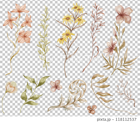 Dried wildflowers. Forest watercolor illustration. Hand-drawn dried leaves, flowers, wild herbs. Wedding 118112537