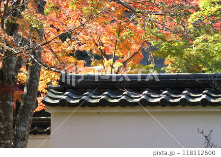 紅葉・金剛輪寺【滋賀県愛知郡愛荘町】 118112600