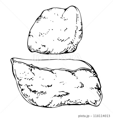 Traditional Japanese inari sushi tofu wrap pocket, tamagoyaki fried cheese pancake omelette, vegetarian vegan food. Hand drawn in vector pen, ink. Illustration for restaurant, cafe menu, recipe book 118114013