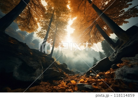 a beautiful autumn landscape with fallen leaves in a forest glade at sunset, sunlight and beautiful nature as background 118114859