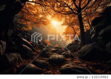 a beautiful autumn landscape with fallen leaves in a forest glade at sunset, sunlight and beautiful nature as background 118114862