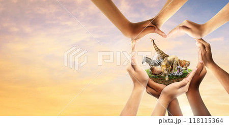 Wildlife Conservation Day. wildlife protection, multiracial human come to build hands in shape of heart to protect the environment. promote conservation wildlife. sunset evening sky background. Wildlife Conservation Day. wildlife protection, multiracial human come to build hands in shape of heart to protect the environment. promote conservation wildlife. sunset evening sky background. 118115364