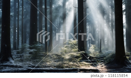 beautiful winter landscape, a trail in a snow covered forest, tree branches with hoarfrost, bright sunlight and beautiful nature 118115854