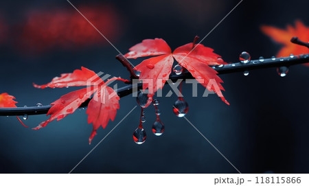 beautiful autumn landscape with yellow leaves with dew on the branches of trees in the forest at sunset, sunlight and beautiful nature 118115866
