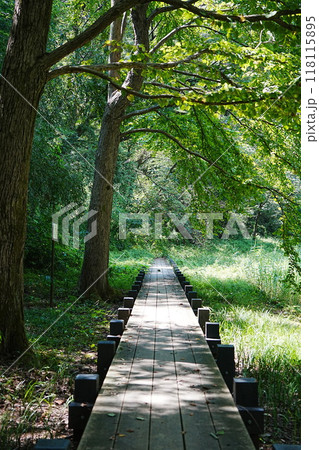 小山田緑地の遊歩道 小山田緑地の遊歩道 118115895