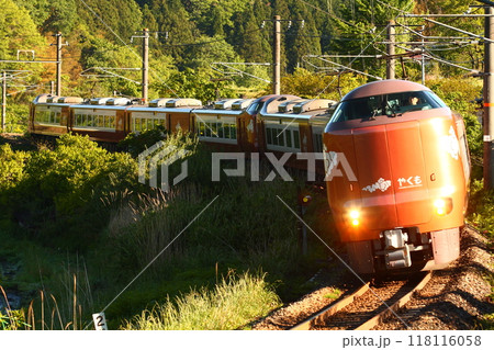 273系 特急やくも 118116058