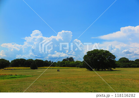 夏の空と雲大きな緑いっぱいの広場の風景8 夏の空と雲大きな緑いっぱいの広場の風景8 118116282