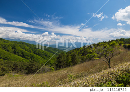日本 長野県茅野市のビーナスライン沿いにある白樺湖展望台から見える風景 日本 長野県茅野市のビーナスライン沿いにある白樺湖展望台から見える風景 118116723