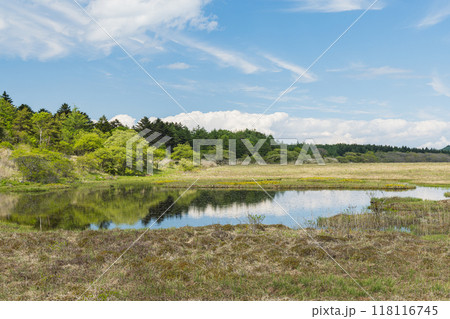 日本　長野県諏訪郡の八ヶ岳中信高原国定公園中部の霧ヶ峰にある八島ヶ原湿原と八島ヶ池 118116745