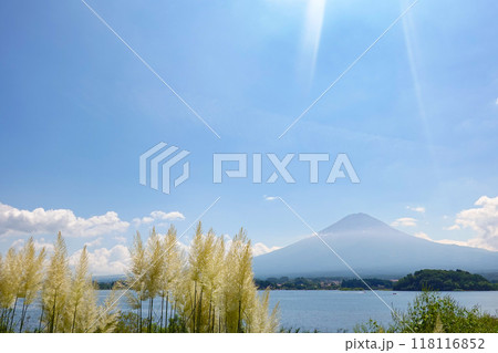 パンパスグラスと秋の富士山 118116852